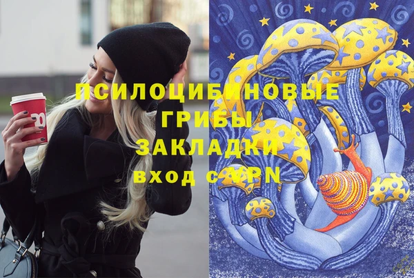 spice Вяземский