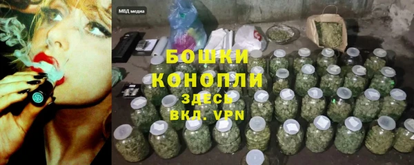 spice Вяземский
