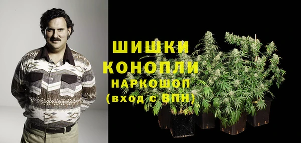 дмт Горняк